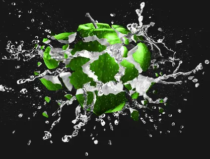 Elysian Capital supports Gravity Global with fifth US acquisition