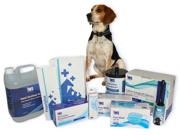 IMS Euro investment rationale