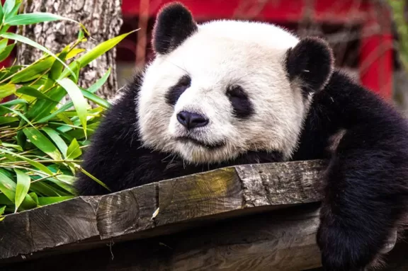 Key Travel investment rationale